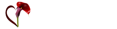 Bestattungshaus Susan Abraham